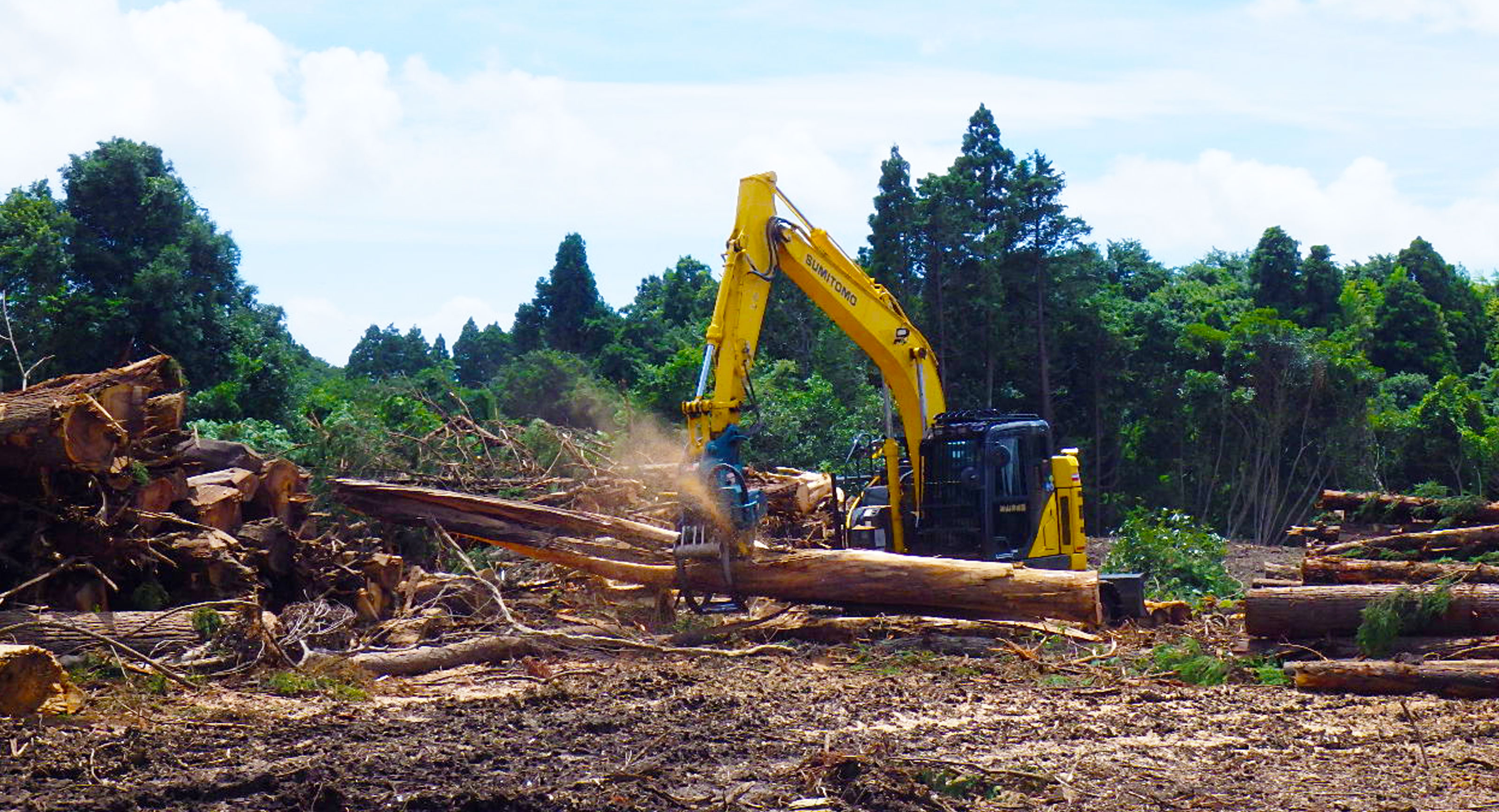 機能強化推進業務